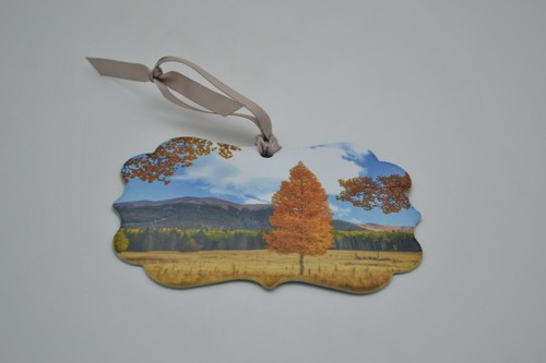 Two sided metal - autumn, tree